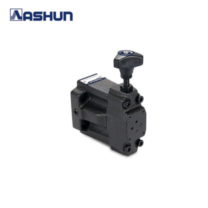 "ASHUN" PRESSURE CONTROL VALVES<br/>SBSG SERIES